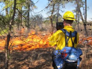 A forestry service member uses the camera in his iPad to record some footage of the prescribed burn clearing out dry tinder in the understory. BY DENNIS FORNEY