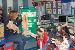 Department of Natural Resources and Environmental Control employee Kate Marvel shows Beth Smith's kindergarten class the difference between winter and summer animal coats. BY MELISSA STEELE