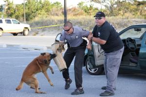 Officer Layfield intervenes to get Biko to release his target.