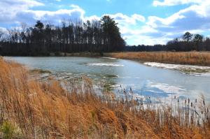 This is one of three stormwater management ponds serving Oak Creek Farms. BY RON MACARTHUR