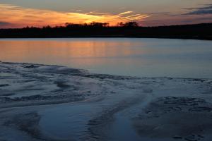 Canary Creek, near its mouth at Broadkill River, and a dark line of pines, sailing toward the sunset.