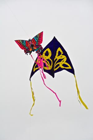 Kites like these fill the sky above Cape Henlopen State Park. BY RON MACARTHUR