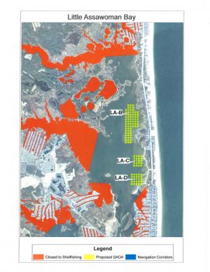 This map shows Shellfish Aquaculture Development Areas in Little Assawoman Bay. Coastal Kayaks is located between plot LA-C and LA-D. SOURCE DNREC FISH AND WILDLIFE