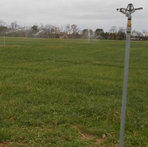 One of 40 watering pipes sits idly as eight other pipes spray in the background. Tidewater replaced all 40 pipes and added new brass sprinkler heads. BY CHRIS FLOOD