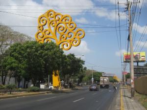 Our taxi driver told us that these metal yellow trees adorning the PanAmerican Highway as it darts its way south and north through the center of Managua are a gift from Venezuela and commemorate cooperation between the two nations.