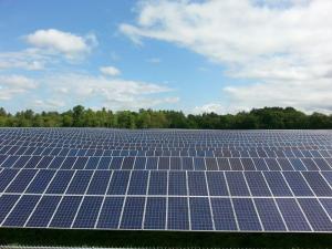 Once completed, Allen Harim's new solar field in Harbeson is expected to reduce carbon dioxide emissions by more than 1,500 metric tons per year, company officials said.Construction is expected to take about three months. SOURCE SUBMITTED