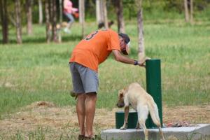John Kroh works the water fountain for his 18-month-old lab Maggie. NICK ROTH PHOTO