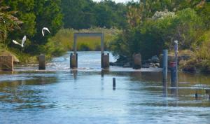 Water-control structures are no longer used to restrict the flow of water. RON MACARTHUR PHOTO