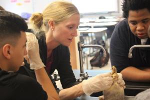 Evick helps her students find a heart valve. MELISSA STEELE PHOTO