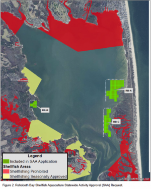 A total of 209 lease acres will be available for commercial aquaculture in Rehoboth Bay. IMAGE SOURCE: DNREC