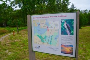 The James Farm Ecological Preserve is one of the best-kept secrets in the area. A trail leads from the parking area to Indian River Bay. RON MACARTHUR PHOTO