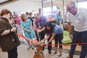 The Ribbon Chewing ceremony was a success. King gets his chew on while Patrick Carroll uses ceremonial scissors. Shown are (l-r) Sam Gardner holding King; DHA Board President Peggy Eddens; DHA Executive Director Patrick Carroll; Stephanie Gomez, animal marketing and adoption event coordinator; and Adoption Center Manager Jody Rini.