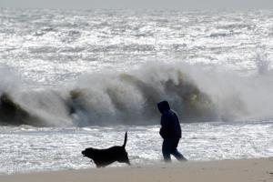 A dog and its owner enjoy a run on Rehoboth Beach early Saturday morning. RON MACARTHUR PHOTO