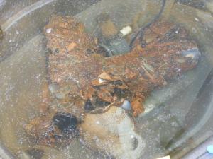 Sitting in a filtered tub of water, material from the shipwreck has fused together. CHRIS FLOOD PHOTO