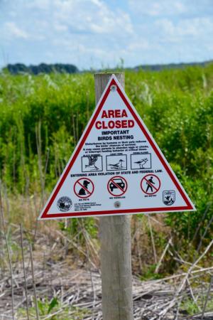 Just like the Cape Henlopen Point, Fowler Beach was closed for about six months to protect nesting birds.