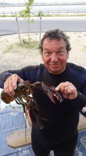 Newswanger finds lobsters on the Inlet’s north side.