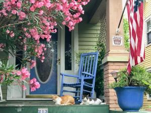 Most of the Cape Charles homes have been lovingly restored. This one showed off its more southerly climate with a brightly blooming oleander and two drowsy but appreciative cats. Cape Charles lies near the southern tip of the Delmarva Peninsula, about a three-hour drive south of Delaware’s Cape Region.