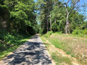The committee has agreed on a plan to light the portion of the trail from Federal Street to the bridge.