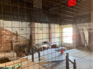 Windows have been placed around the construction area so patrons can see the progress.