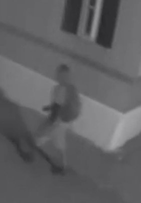 The recent thefts involved several vehicles during the overnight hours.