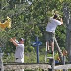 Residents work to remove debris from trees following a storm that caused damage in the Pot-Nets Bayside community. BY RON MACARTHUR