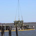 A section falls into the water. BY MELISSA STEELE