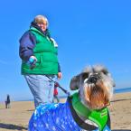 Murphy Brown is dressed up and ready to plunge as owner Mickie McManamon of Rehoboth Beach keeps him close. BY RON MACARTHUR
