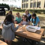 Students (l-r) Katie Rossi, Addison Breneman, Charlotte Sachs and Ava Yenovkian catalog organisms.