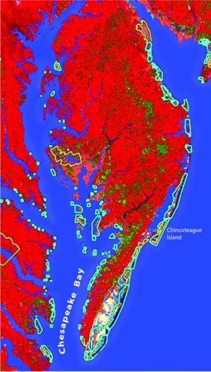 This image is the current conditions of the beaches on Delmarva. COURTESY U.S. FISH & WILDLIFE SERVICE