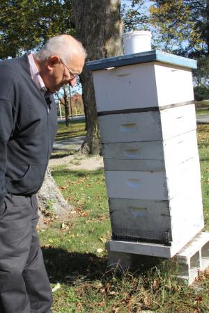 Randall Cash checks on his beehive at a Seaford location. BY MELISSA STEELE