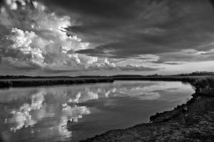 BY TONY PRATT