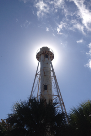 The Gasparilla Lighthouse, with palms and bright sun, and painted white, looks different from the way it did when it was painted black and towered over Green Hill in Lewes in the late 19th and early 20th centuries. BY JIM PHILLIPS