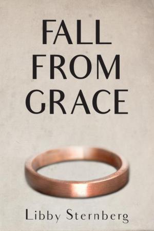 “Fall from Grace” is a novel set mostly in Delaware. SUBMITTED PHOTO