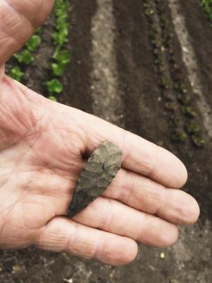 Native American-fashioned arrowheads have been littering the fields and woods of Sussex County for thousands of years.  Chuck Burton found this fine specimen recently while tilling the soil in his garden.  CHUCK BURTON PHOTO
