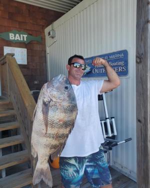 Kyle Falgowski with a 9.75-pound sheepshead he caught on a sand flea at the Ferry Wall. PHOTO COURTESY OF LEWES HARBOUR MARINA