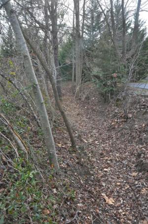Most of Sussex County's over 1,200 miles of tax ditches are located in its western and southern areas; this one drains into Red Mill Pond north of Lewes. RON MACARTHUR PHOTO