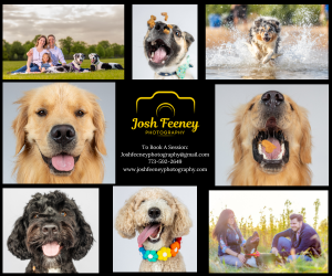 Now Booking Pet/Dog Photos in Delaware