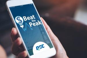 DEC’s Beat the Peak program saved members more than $1.7 million in 2024. SUBMITTED PHOTO