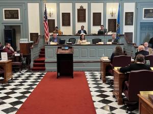 Experts weighed in on a Chancery Court bill during a March 12 hearing in Senate Chambers. MELISSA STEELE PHOTO
